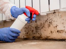 Biohazard Mold Removal in Watts Mills, SC